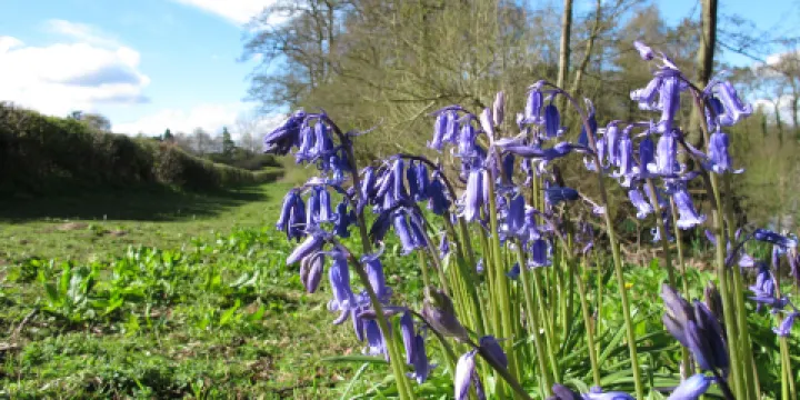 Pendeford Mill Nature Reserve