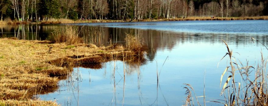 Soier See