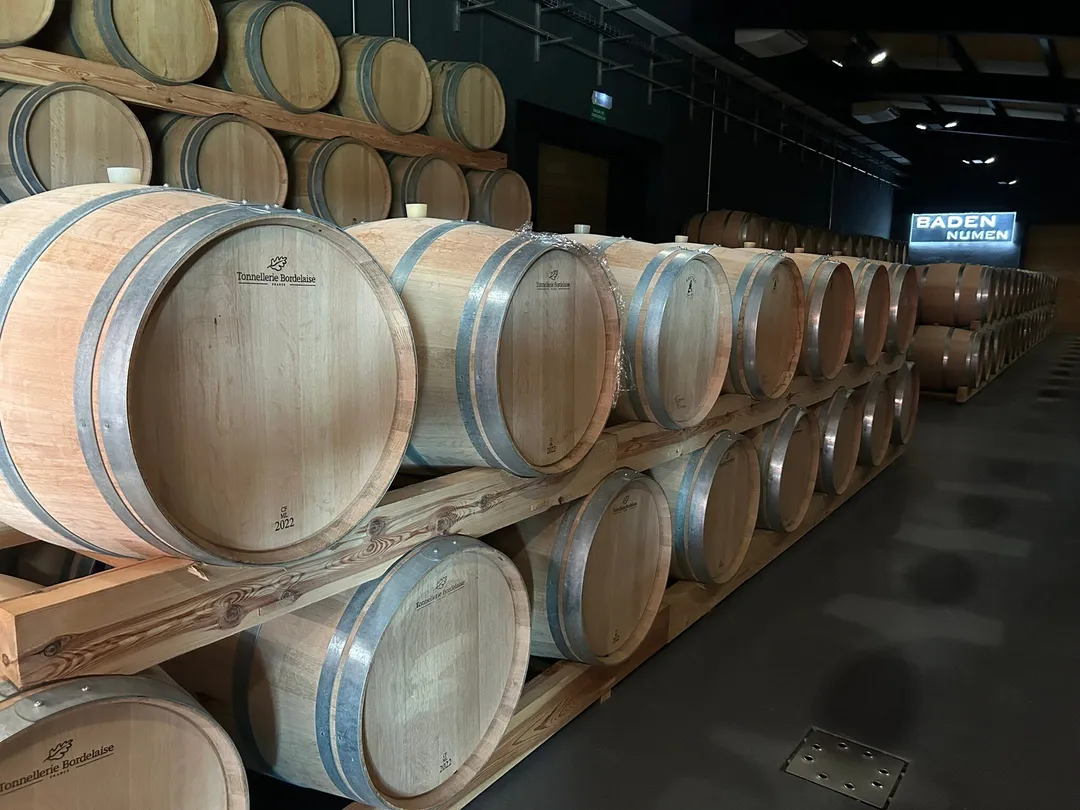 3_Bodegas Baden Numen