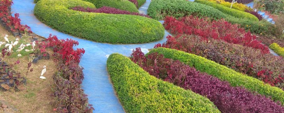 จิวิเดย์