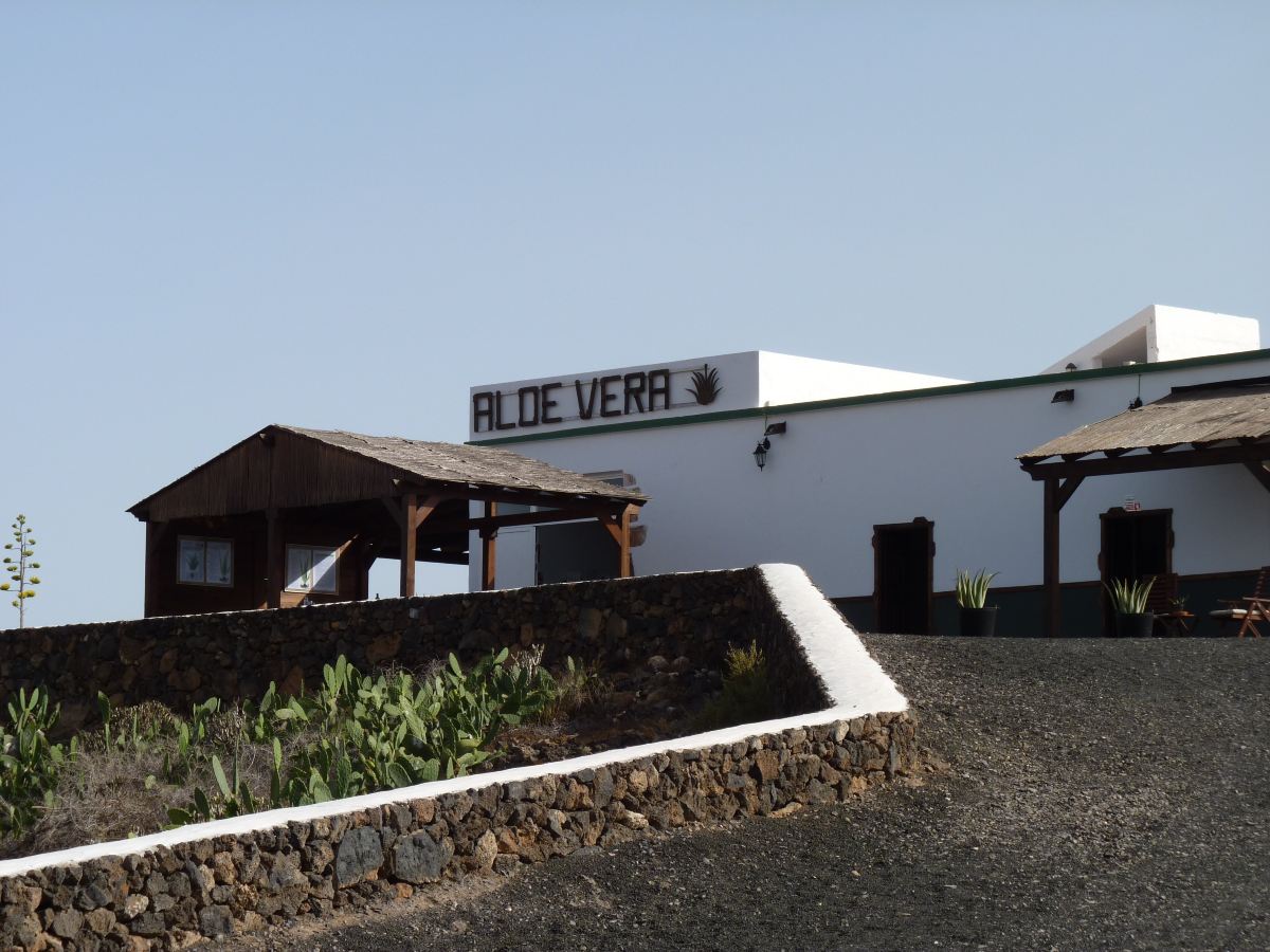 Finca Canarias Aloe Vera Tickets [2026] - Promos, Prices, Reviews & Opening  Hours | Trip.com
