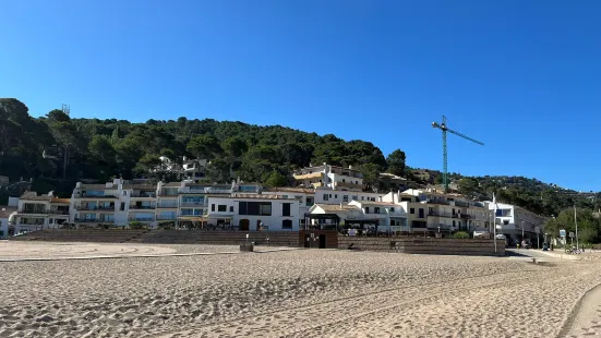 Playa Sa Riera