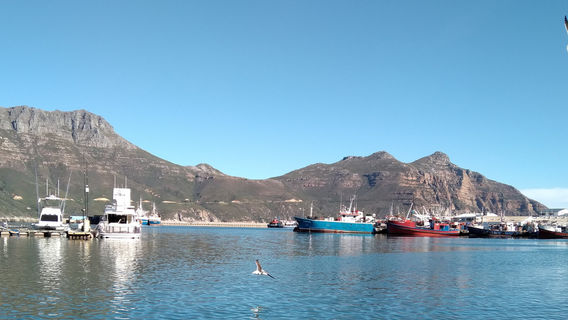 Hout Bay Beach