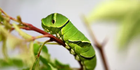 雨滝自然科學館