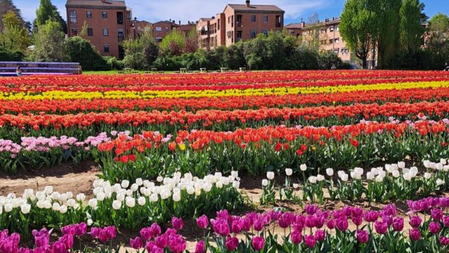 TuliPark - Bologna