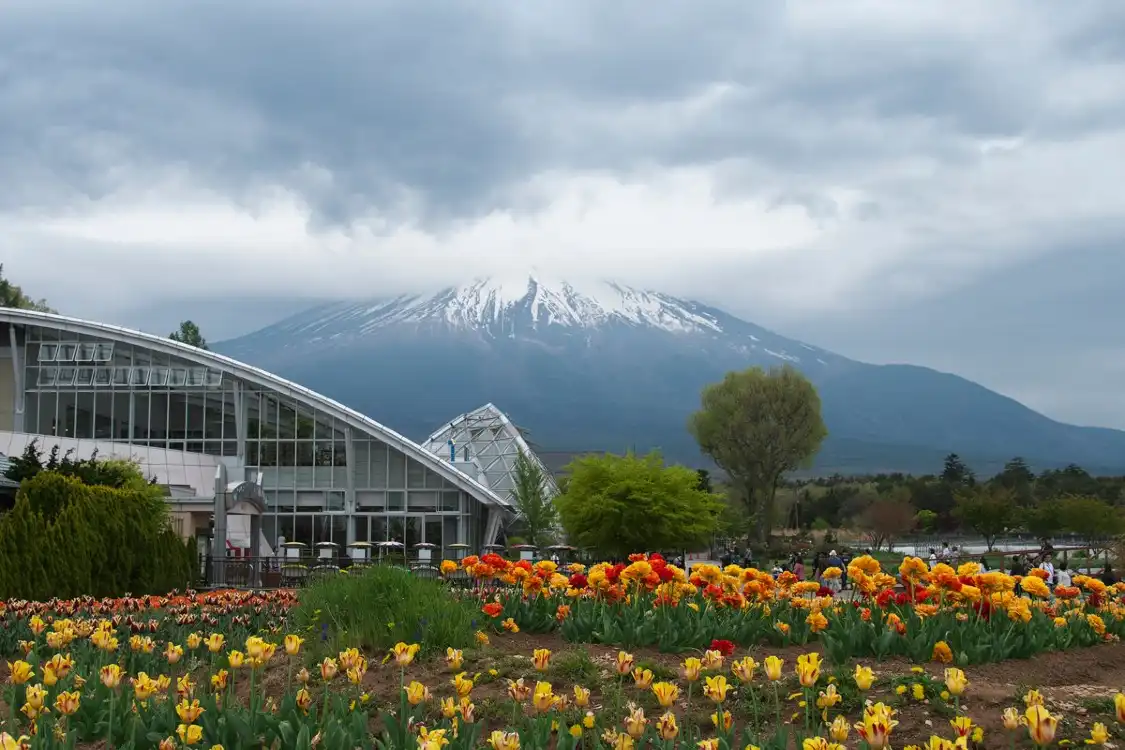 Hotels near Hana-no-miyako Park Furara