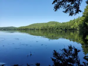 Long Pond