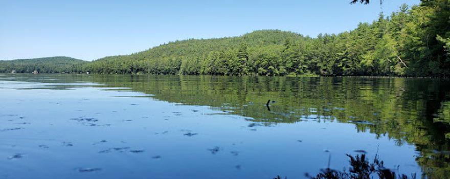 Long Pond
