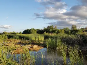 Capay Open Space Park