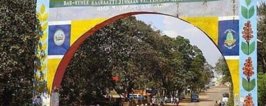 Awetu Park - አዌቱ ፓርክ