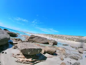 Berry Bay North