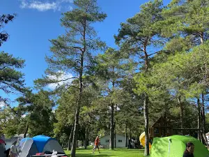 Pigeon Lake