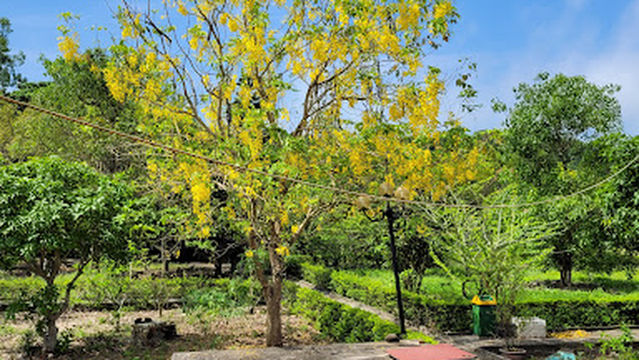 Nghè Thờ nhân huệ vương Trần Khánh Dư