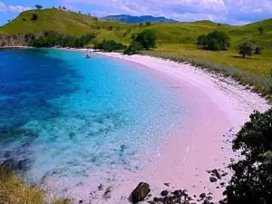 Pantai Pink Lambu, Bima NTB