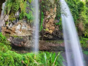SIPI TRAVELOGUE UG