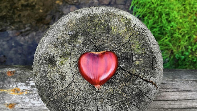 Roz'energie Rozenn Houis Guiho