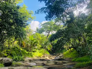 Waterfall rest stop
