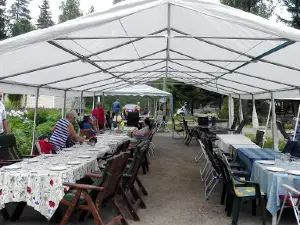 Telaranta om. Olli Lehtiö