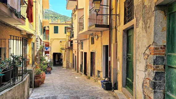 Tiburon Boat Services di Andrea Berio