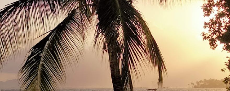 Plage du bourg