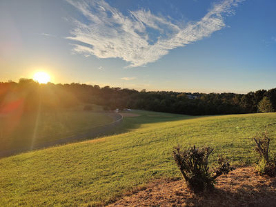 Darden Towe Park