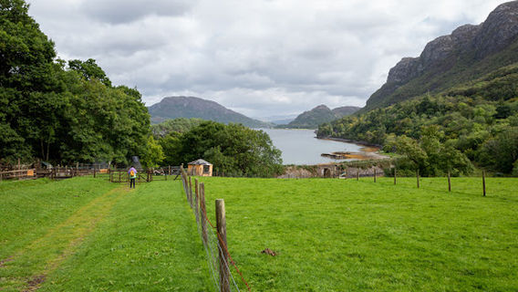 Craig Highland Farm