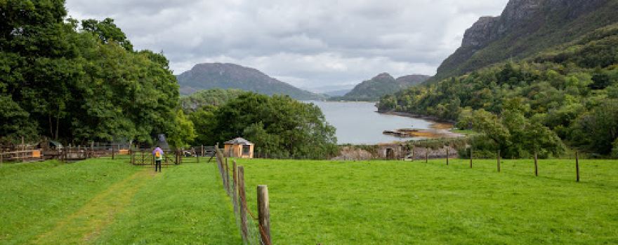 Craig Highland Farm