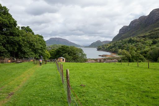 Craig Highland Farm