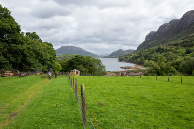 Craig Highland Farm