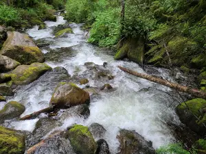 Wallace Falls Middle Falls Overlook