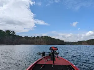 Sabine National Forest
