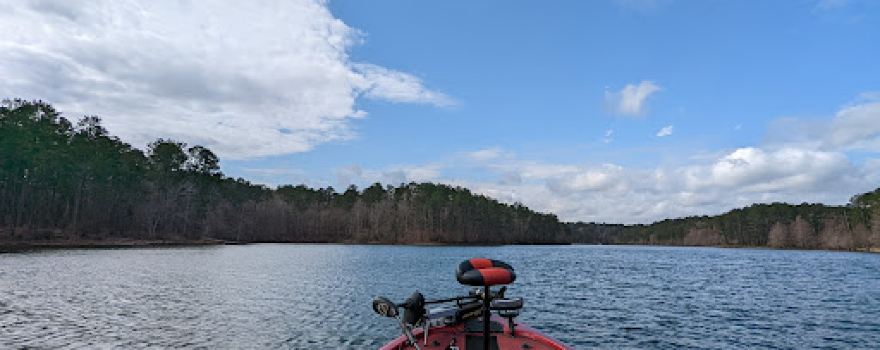 Sabine National Forest
