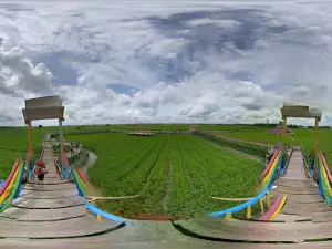 Sawah Bungaraya