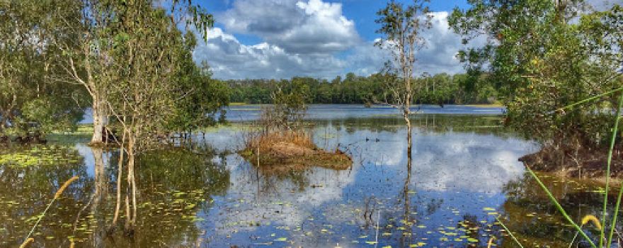 Jabiru Park