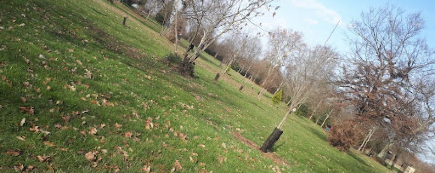 Parc du Faisan
