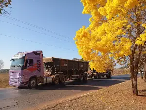 Praia do Cerrado