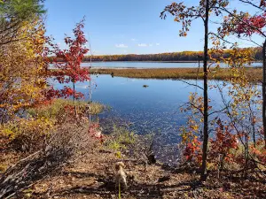 Mille Lacs State Wildlife Management Area.