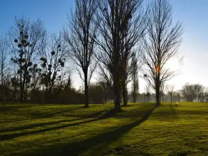 Belle Isle Park