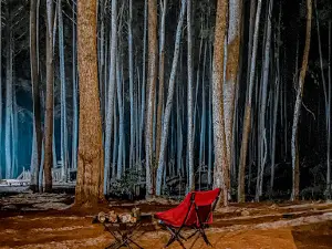 Wisata Hutan Pinus Buntudatu