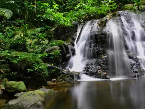 Gunung Rian