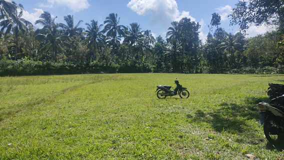 Kalipuro