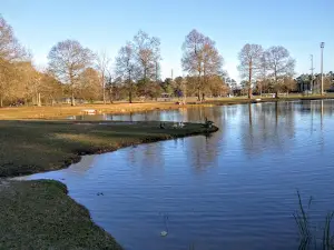 North Oak Park
