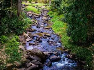 Cachoeira da Gruta