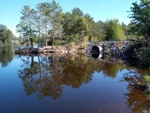 Snyder County Park & Campground