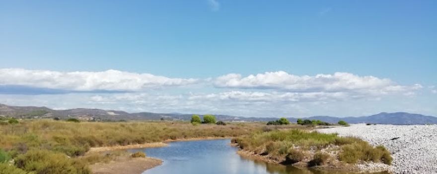 Parc Natural del Prat de Cabanes-Torreblanca