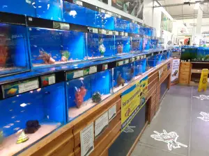Woodmansey Garden Centre