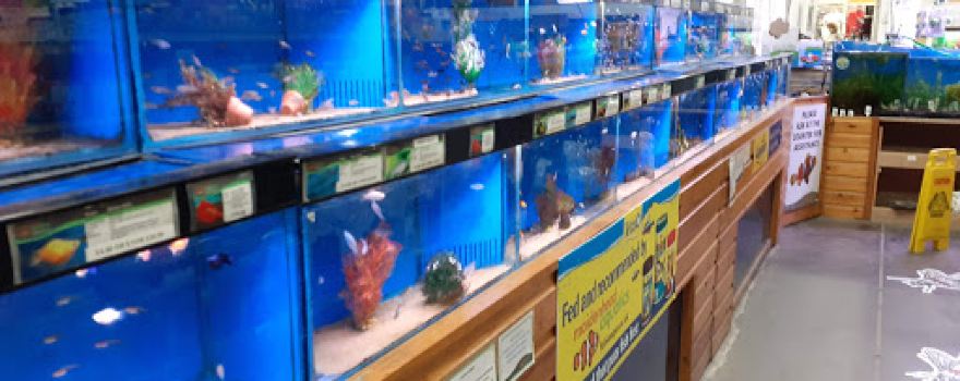 Woodmansey Garden Centre