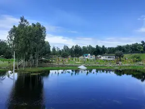 Teesta Tourist Eco Park