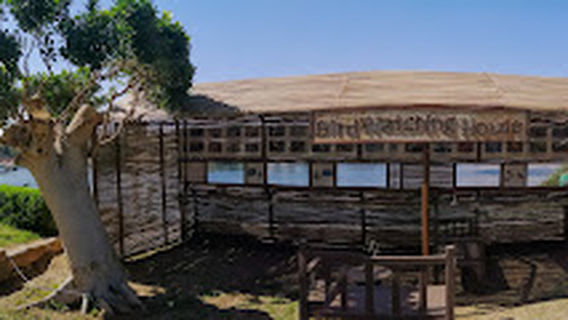 Birds watching House - Mövenpick Resort Aswan