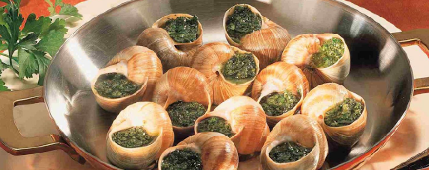 Равликова ферма Nature_Snail